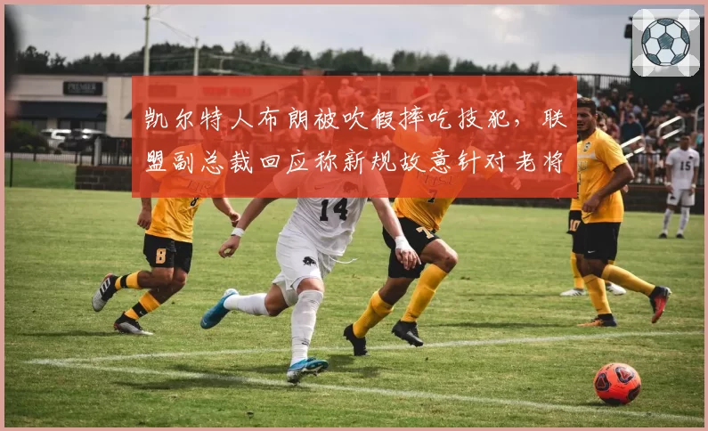凯尔特人布朗被吹假摔吃技犯，联盟副总裁回应称新规故意针对老将
