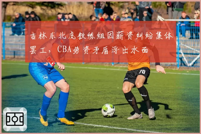 吉林东北虎教练组因薪资纠纷集体罢工，CBA劳资矛盾浮出水面