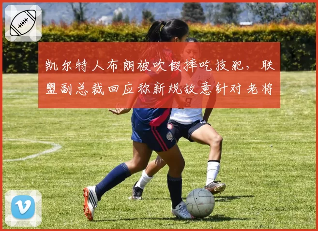 凯尔特人布朗被吹假摔吃技犯，联盟副总裁回应称新规故意针对老将