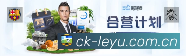 企业概况